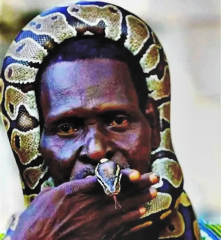 Homem cobra